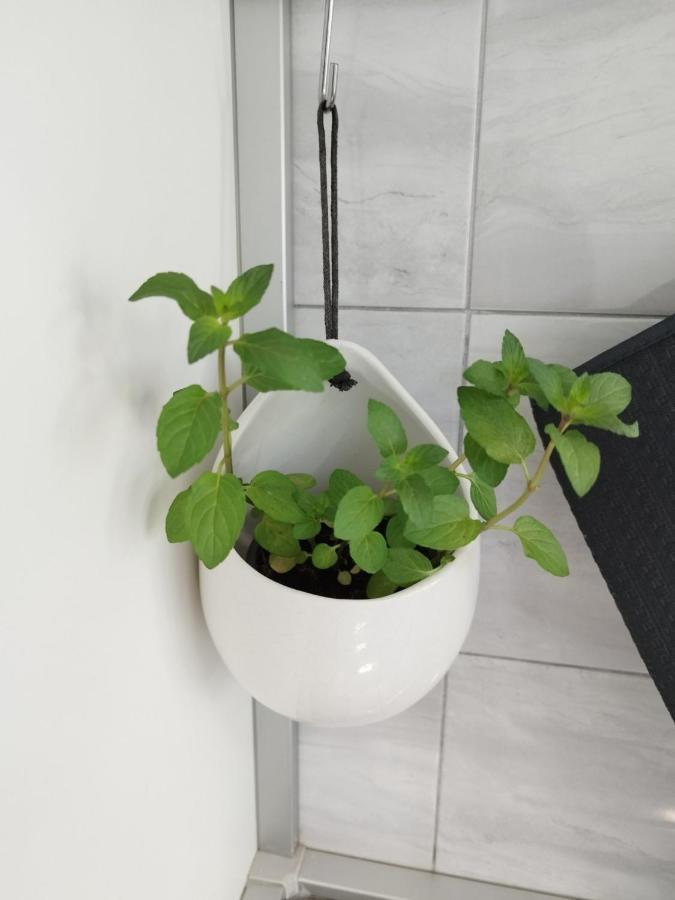 Antemma Apartment Pula Exteriér fotografie